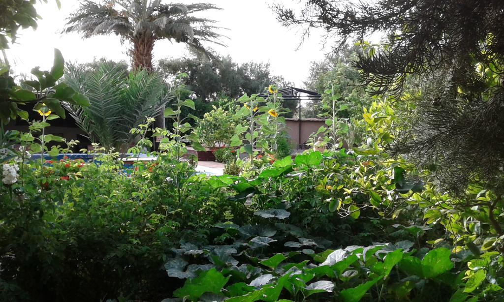Bassatine Skoura Bed and Breakfast Εξωτερικό φωτογραφία